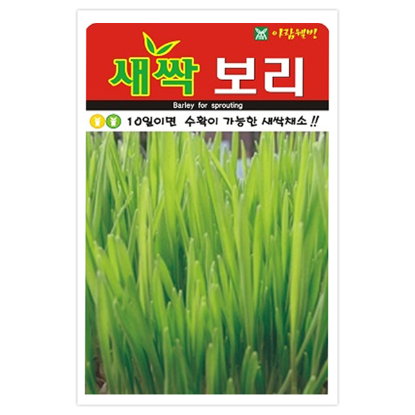 아람종묘 새싹 보리 씨앗 30g 3,000원