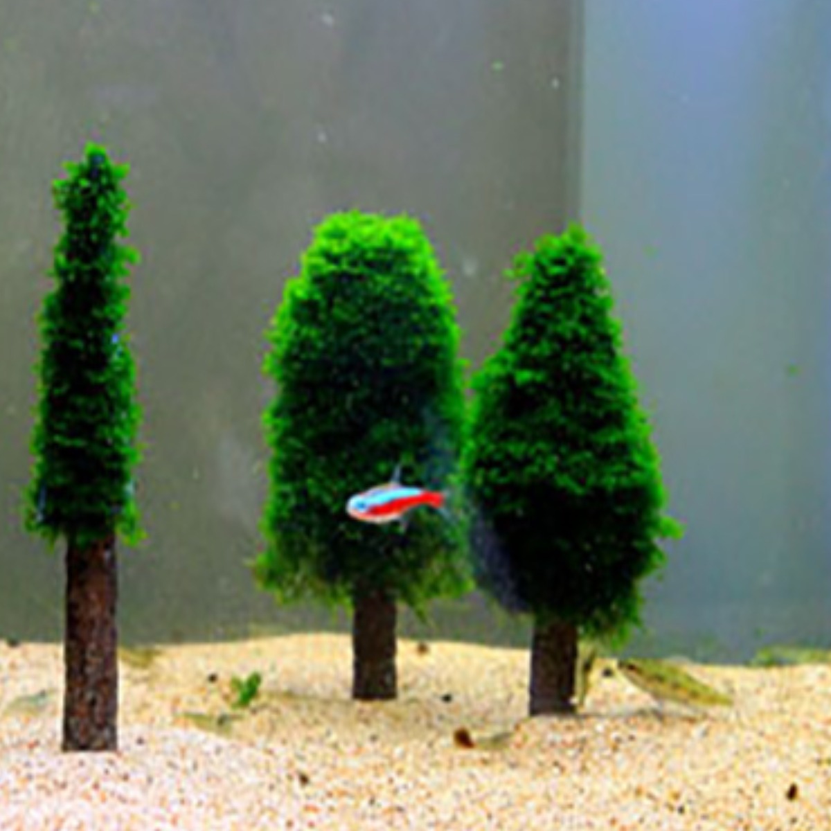 키우기 쉬운 어항 모스 음성수초 초보 구피 새우 은신처 놀이터 장식품 6,900원