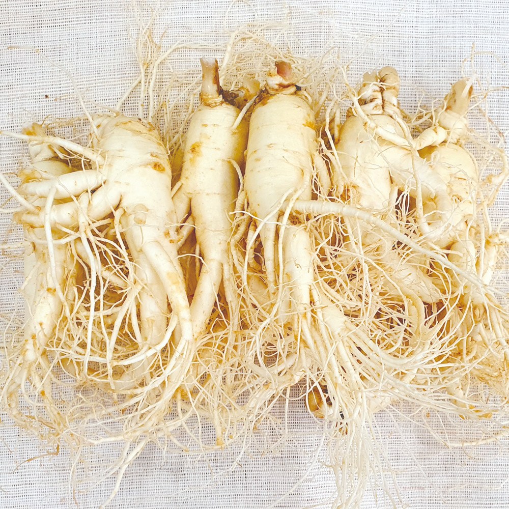 햇수삼!! 삼키우는마을 고려수삼 세척 무세척 수삼 가정용 인삼 금산 홍삼제조용 못난이 파삼 난발삼 삼계탕용, 06.난12-700g-무료세척, 1개 45,900원