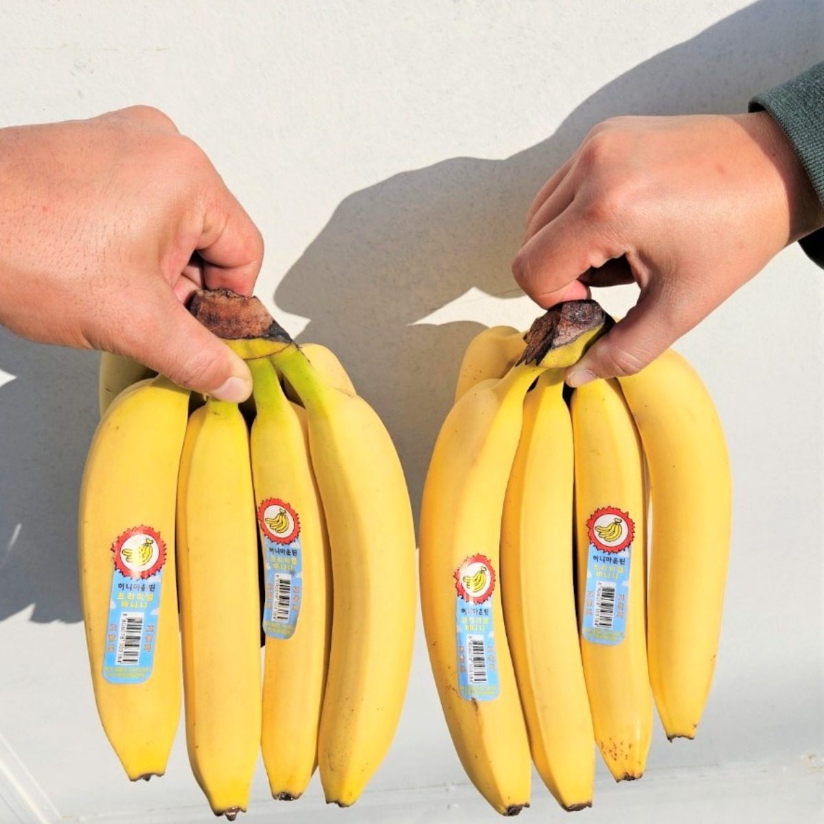 과일성지 에콰사보르 고당도 꿀 바나나 1송이 1.4kg내외, 1박스, 1박스_14kg내외 41,900원