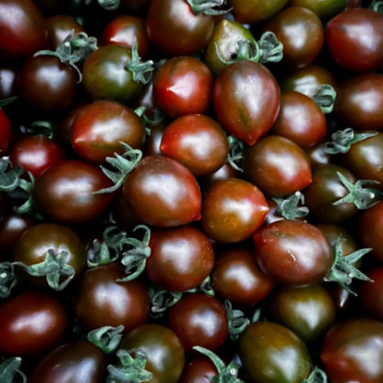 천원농산 대저흑대추방울토마토 하우스재배 프리미엄보장, 1박스, 1kg 16,900원
