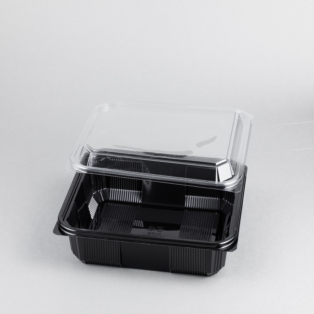 바른팩 DL-246 대일 일회용기 181,000원