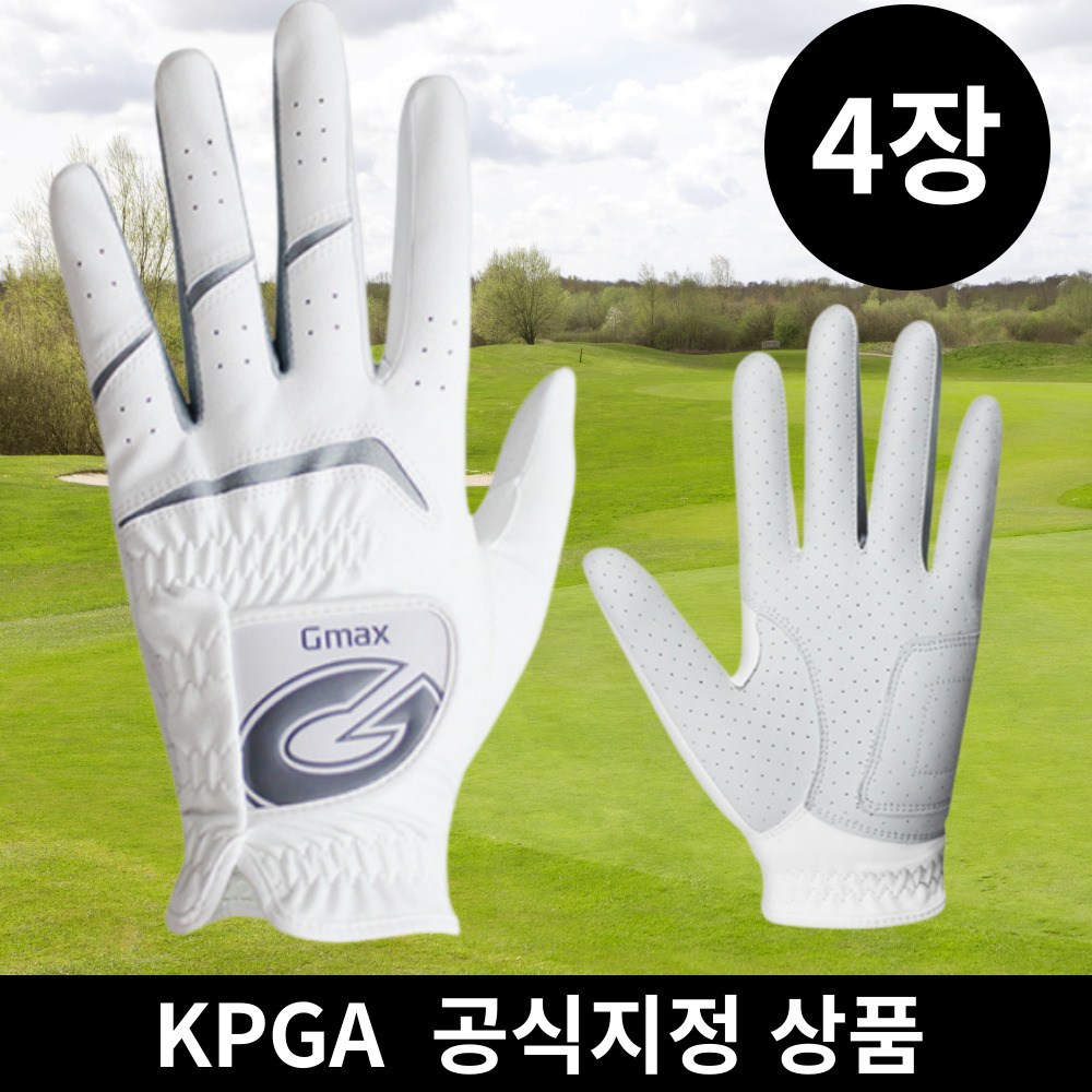 4장 gmax 연습용 반양피 골프장갑 19,850원