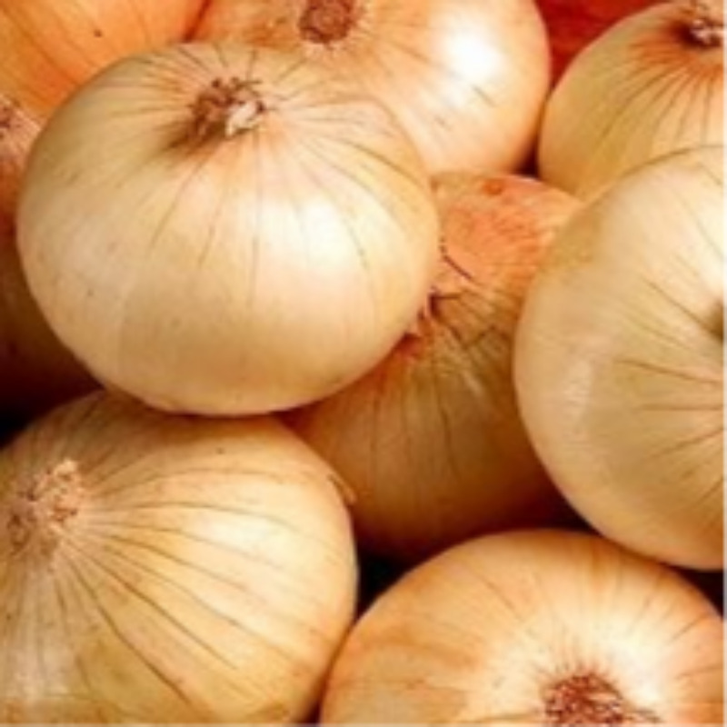 공상청 양파 무안햇양파 3kg,5kg,10kg 13,500원