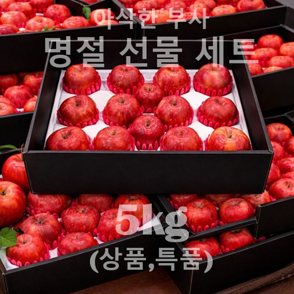 [명절선물세트/합리적 가격] 아삭한 부사 (명절 선물용/정품/실속형), 당도와 신선함이 달라요!, 1박스, [특품 선물세트] 부사 5kg (14-16과) 105,000원