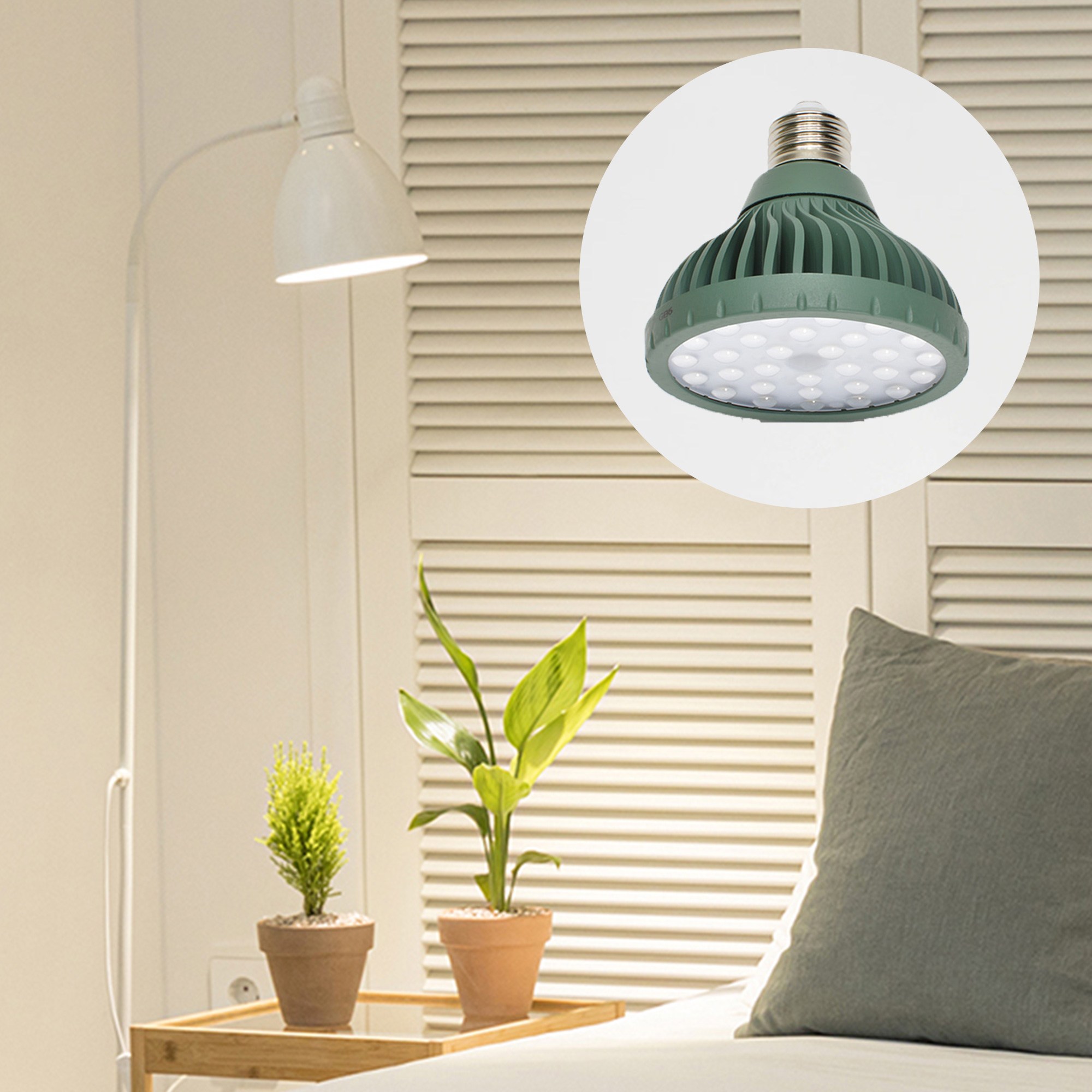 파미 식물등 생장 성장 램프 전구 조명 식물 LED _ 화초파장, 주백색, 1개 36,000원