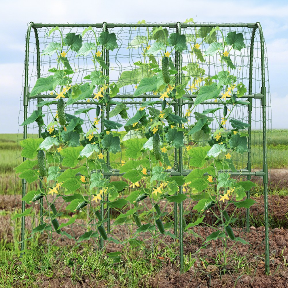 21세기트랜드 쑥쑥 넝쿨 식물 지지대 토마토 포도 오이 호박 덩굴 지주대 29,800원