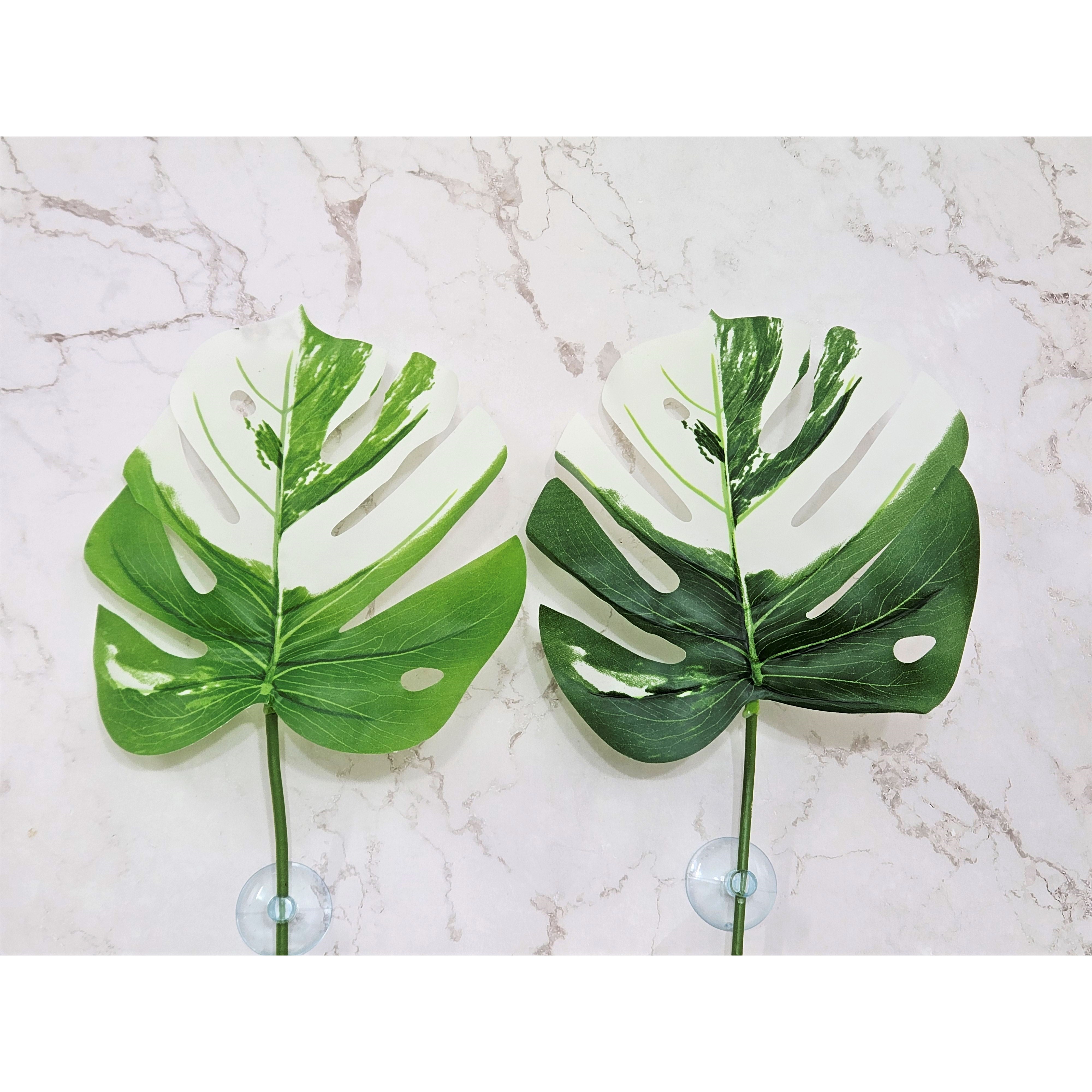 빅 몬스테라 알보 조화 크레스티드 게코 사육장 꾸미기 인테리어 도마뱀 파충류 용품 반짝CR 반짝크레, 1개, 색상랜덤발송 5,500원