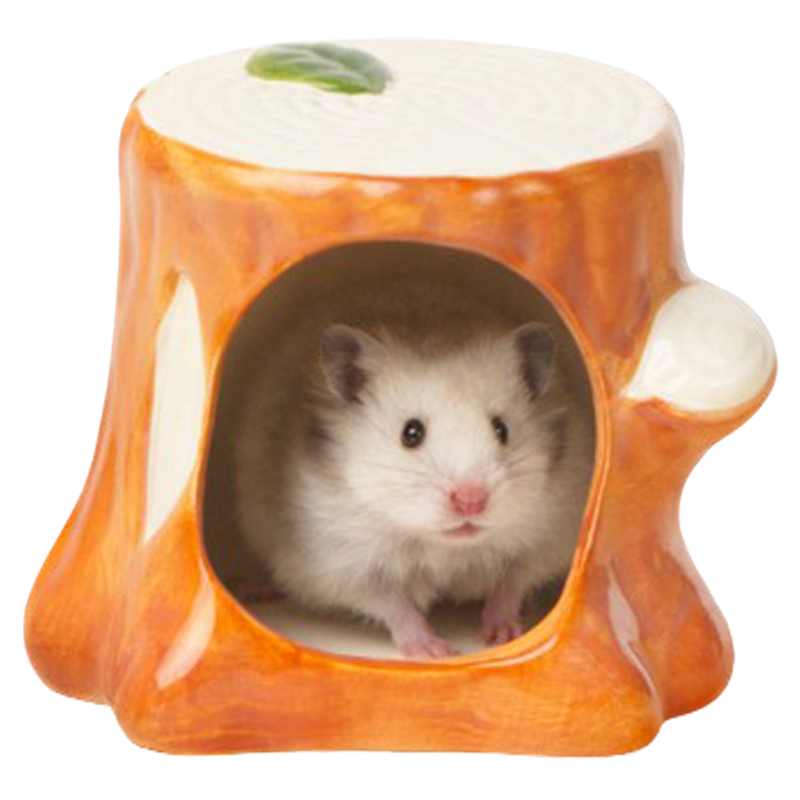 랜보어 햄스터 그루터기 세라믹 은신처 대 9,900원