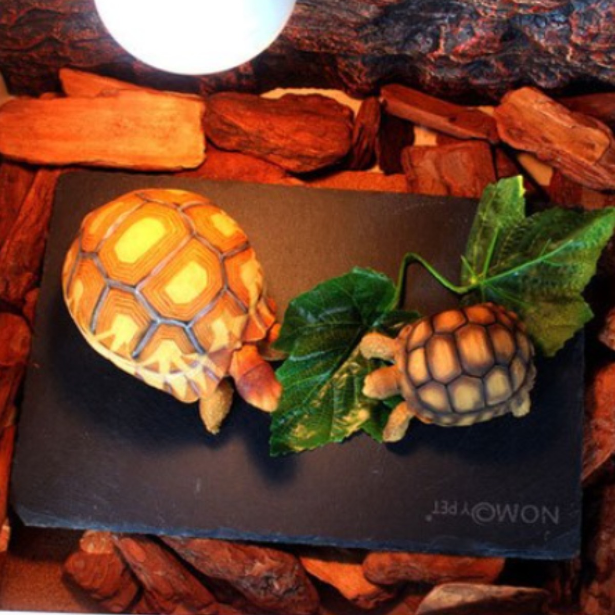 노모이펫 노모이 편석 그릇 M(30 x 15 cm) 7,650원