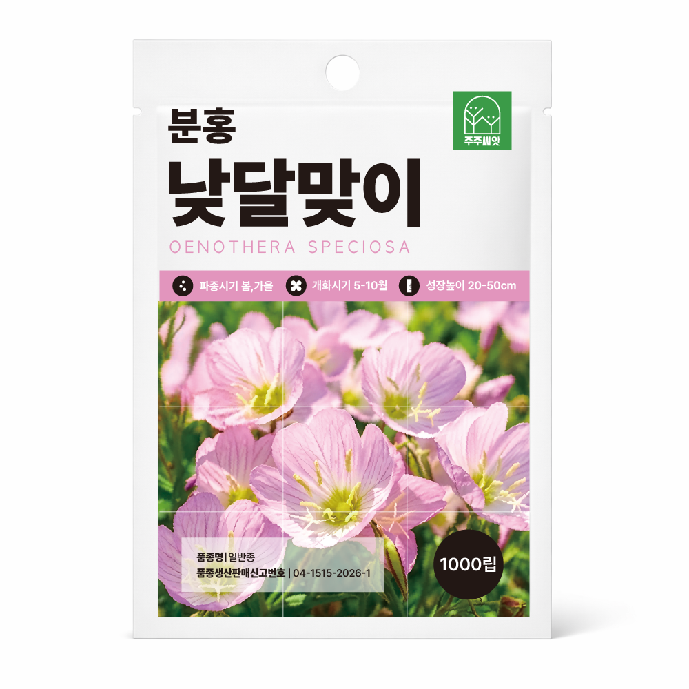 분홍 낮 달맞이 꽃 씨앗 1000립 낮 달맞이 핑크 봄 꽃씨 씨앗 꽃씨몰 노지월동 야생화 가을 겨울 다년생, 1개 2,620원
