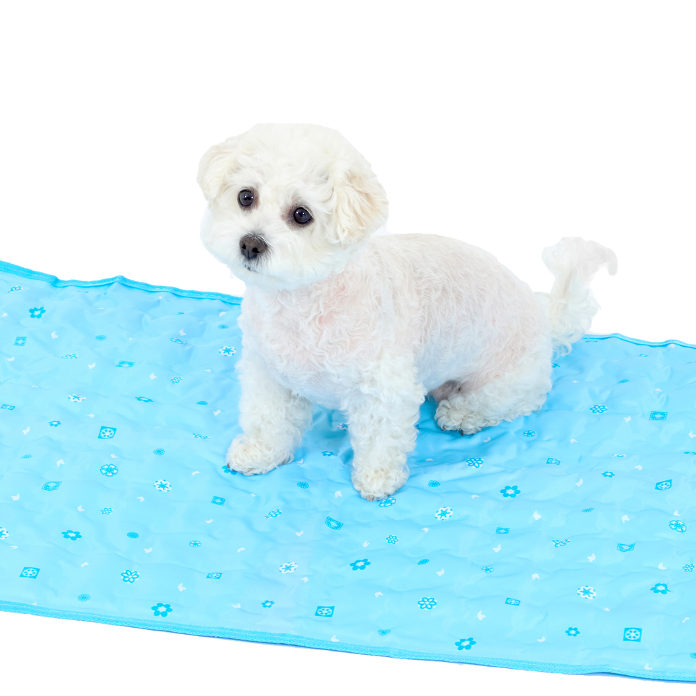 사롬사리 강아지 쿨매트 19,360원