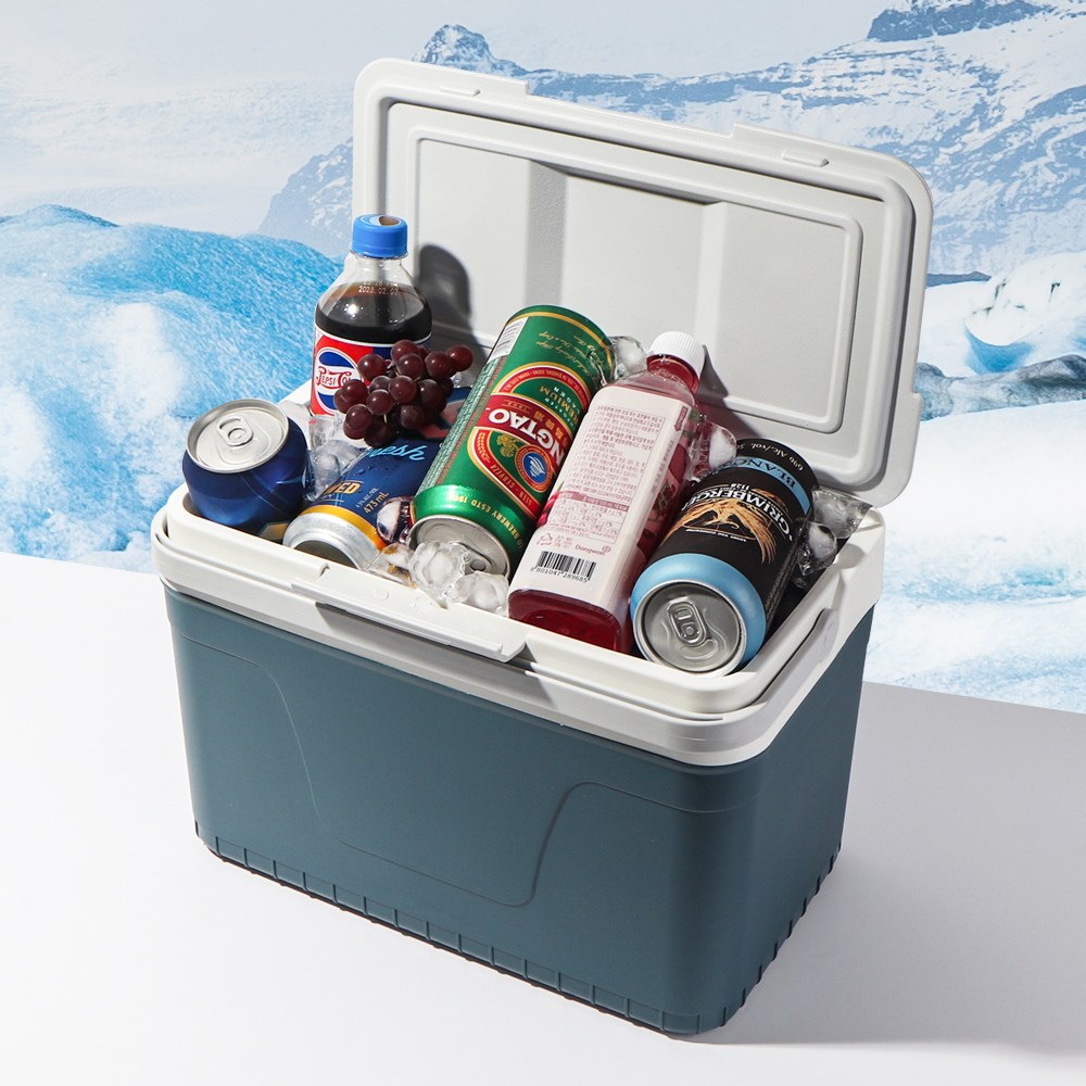 캠핑 쿨러백 낚시 차량용 PP 아이스박스 13L, 혼합색상, 13L 16,000원