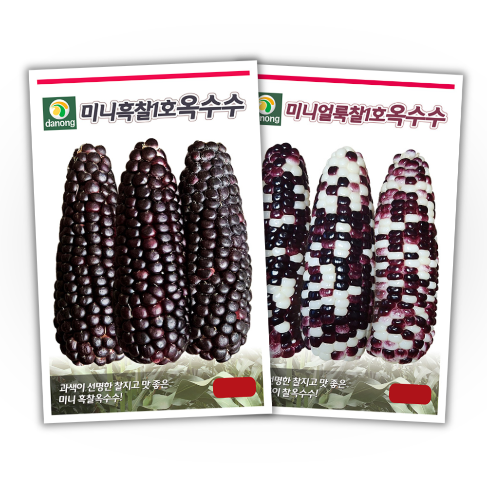 주주씨앗 미니 찰옥수수 씨앗 2종세트 흑찰옥수수 얼룩찰옥수수 봄 파종 채소씨앗 씨앗 작은 옥수수씨 종자 채소씨앗, 1개 9,700원