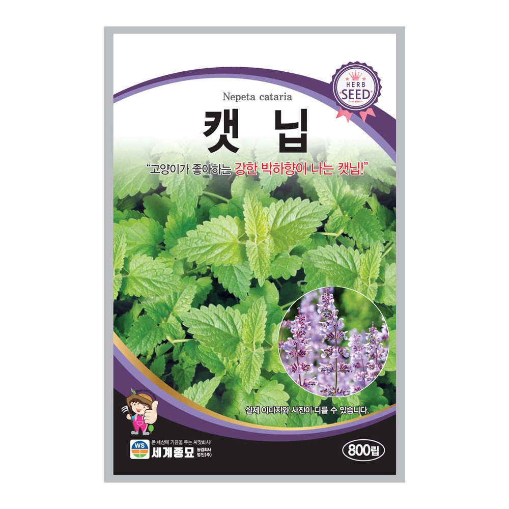 세계종묘 캣닙 800립 허브씨앗 고양이풀 4,990원