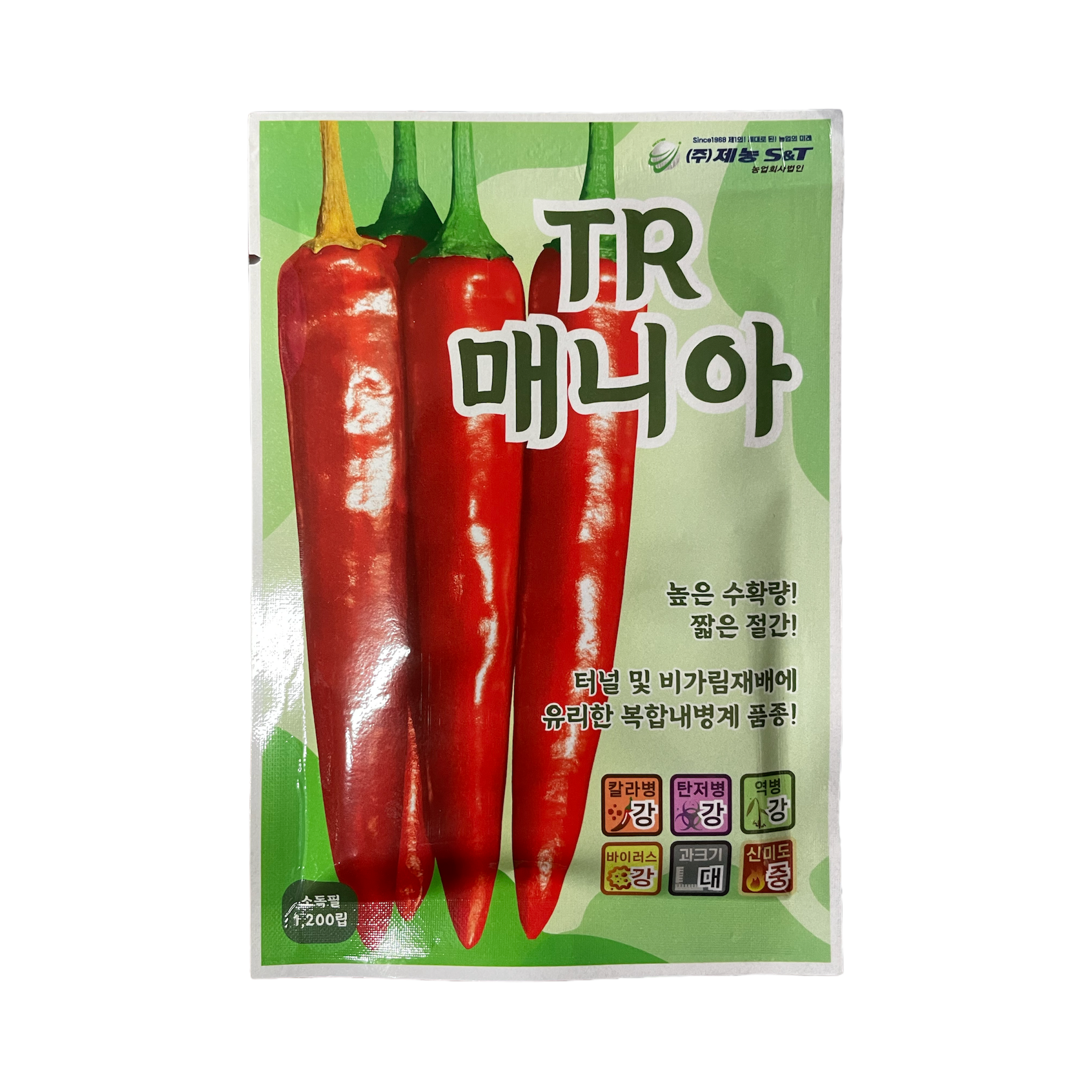 TR매니아 고추 씨앗 1200립 [2026년] 높은 수확량 짧은 절간 고추종자 140,000원