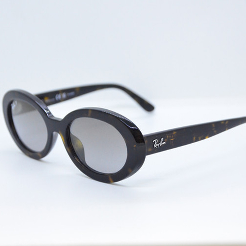 RAYBAN RB 2223F 902M3 54, 레이밴 오발형 선글라스, 긱시크 아이템 350,000원