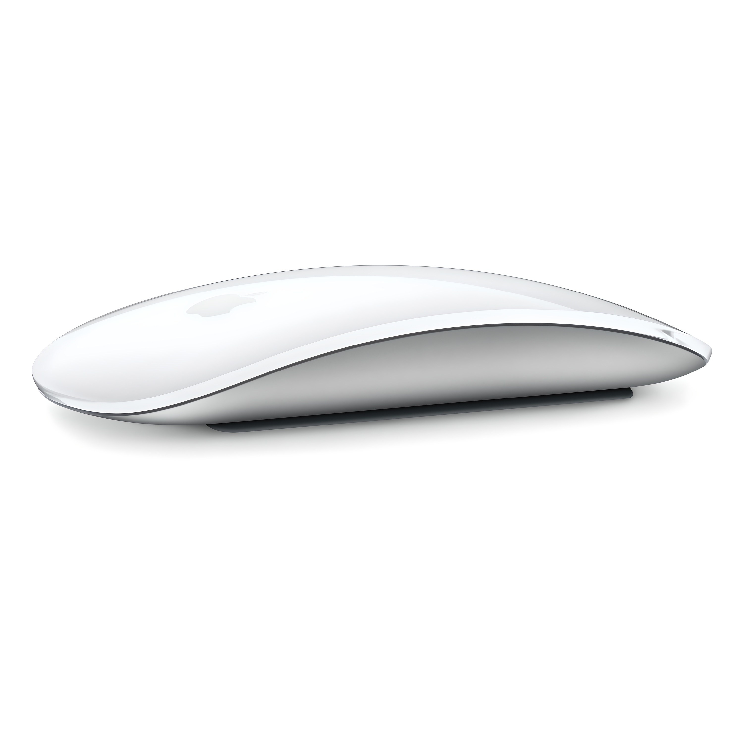 Apple 2024 Multi Touch 표면 Magic Mouse MXK53KH/A 94,050원
