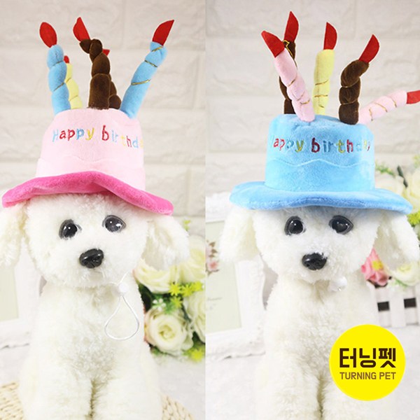 [터닝펫] [국내 당일출고] 반려동물 삑삑이 장난감/노즈워크/ 라텍스 장난감 21종 모음전, 350원~ 8,900원