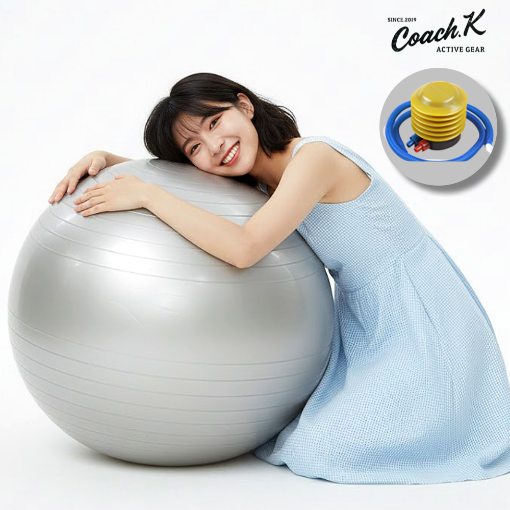 코치케이 유아 임산부 출산 후 다이어트 짐볼 쇼핑몰 추천상품, 에쉬 실버 + 에어펌프 22,880원