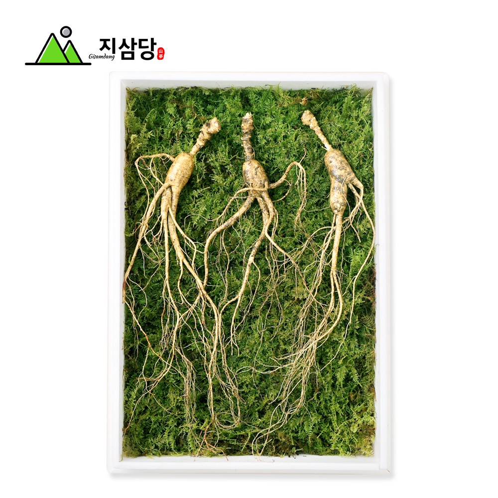 지삼당 산양산삼 직파자연산삼 효도선물 명절 15년근~16년근 3뿌리, 90g, 1세트 300,000원