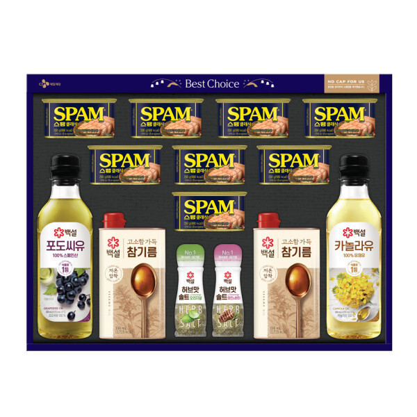 CJ추석선물세트 최고의선택 프리미엄호 +쇼핑백, 1개 79,100원