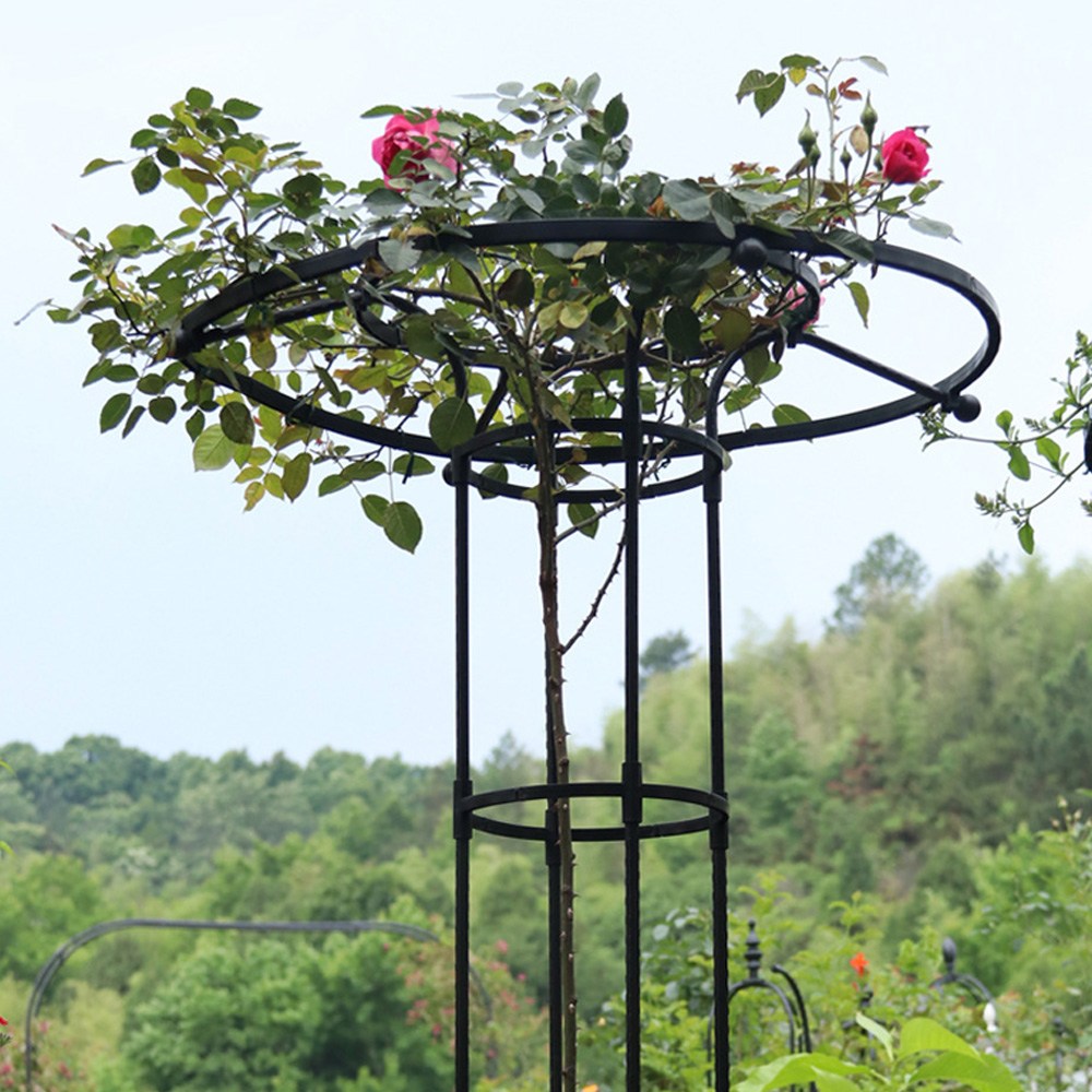 21세기트랜드 우산 플랜트 지지대 27,700원