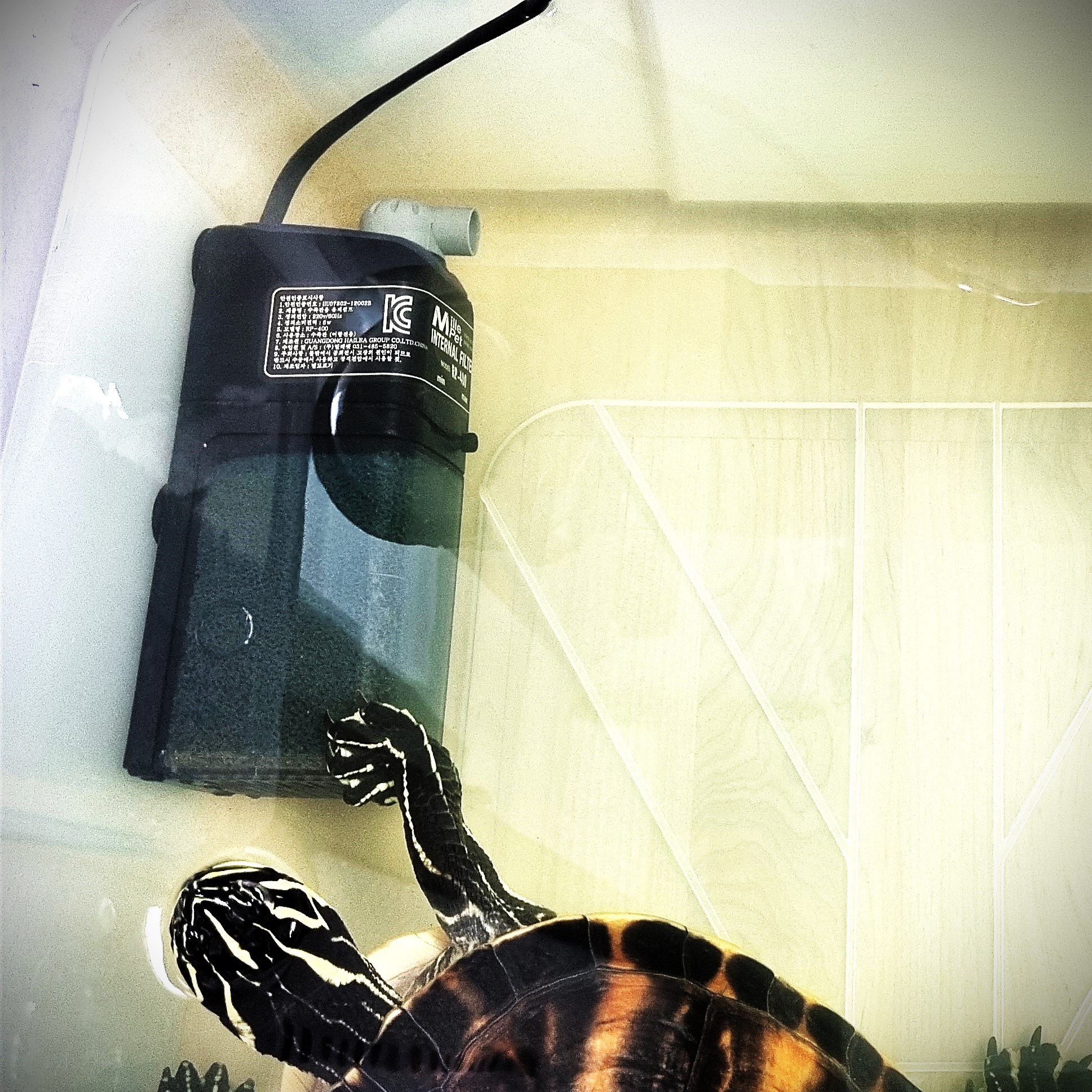 꼬북랜드 거북이 여과기 27,700원