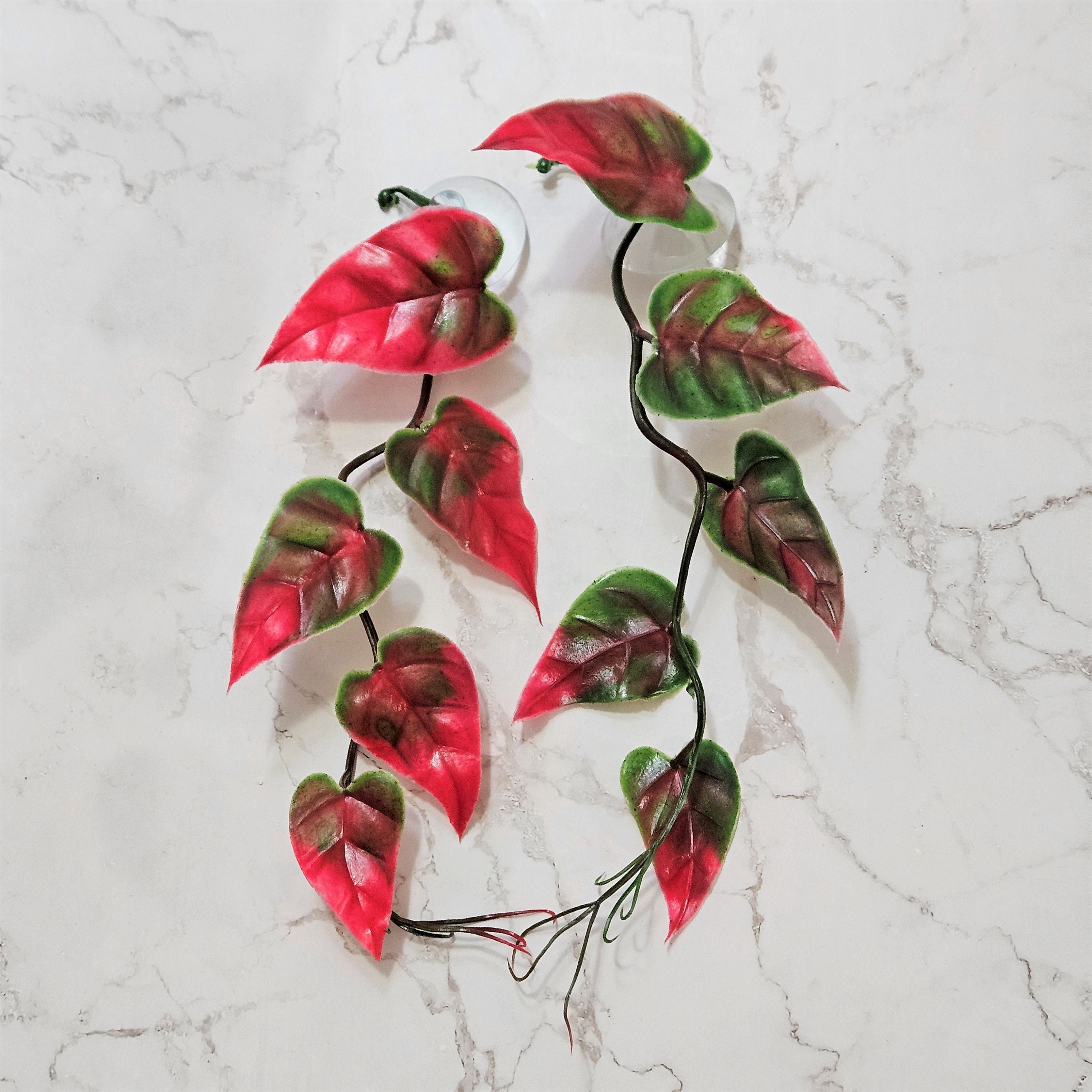 플라스틱 넝쿨 크레스티드 게코 도마뱀 파충류 사육장 꾸미기 인조풀 반짝CR 반짝크레, 2개, 스킨핑크 6,300원