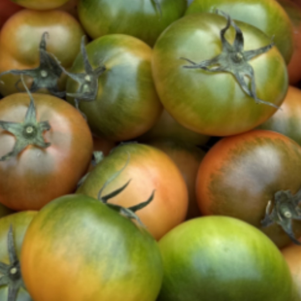 [타임특가] 단짠단짠 부산 대저짭짤이토마토 특품 S사이즈, 1박스, 1kg 17,500원