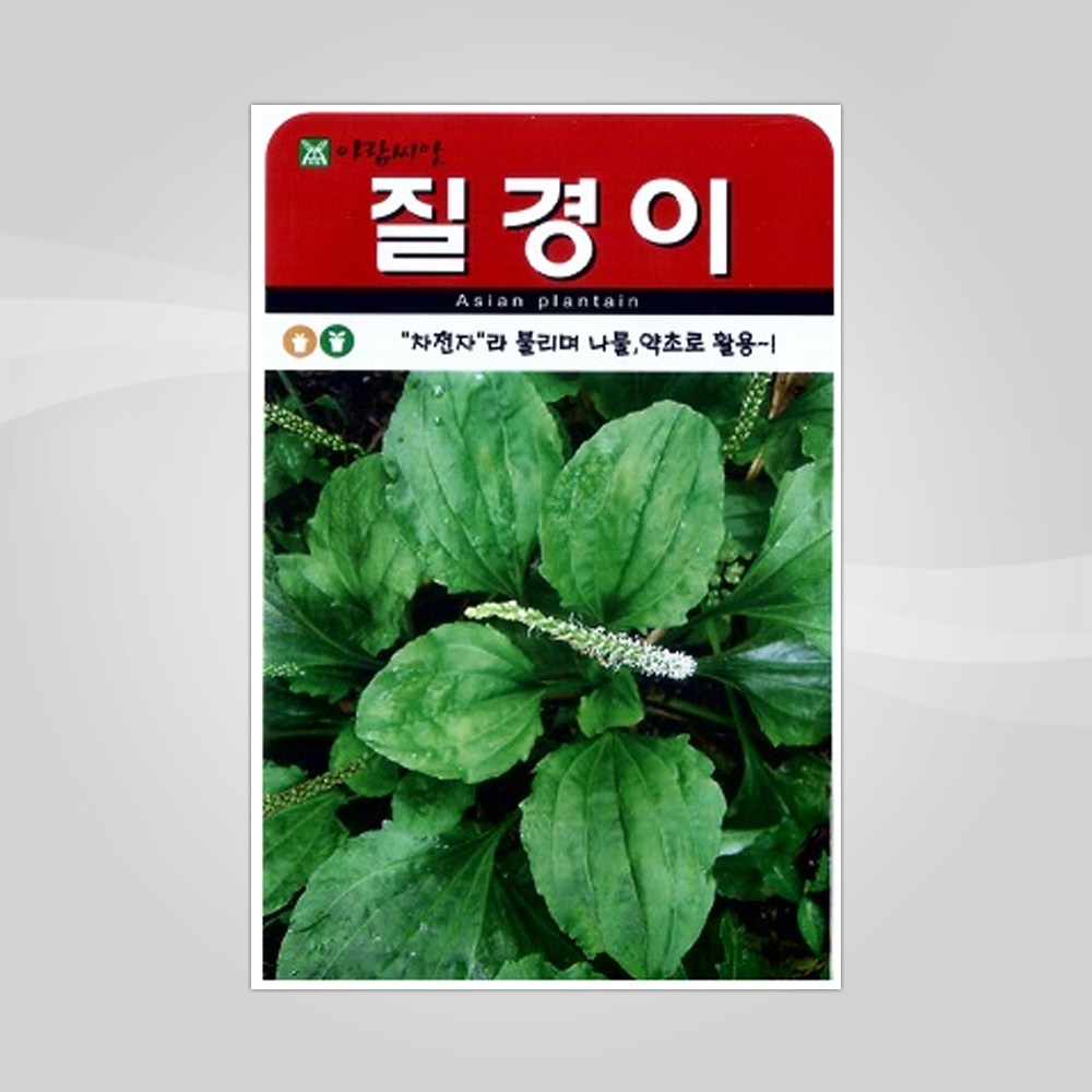 슬로시 슬로시 약초 씨앗 황기 감초 밀크씨슬 씨 종자 3,000원