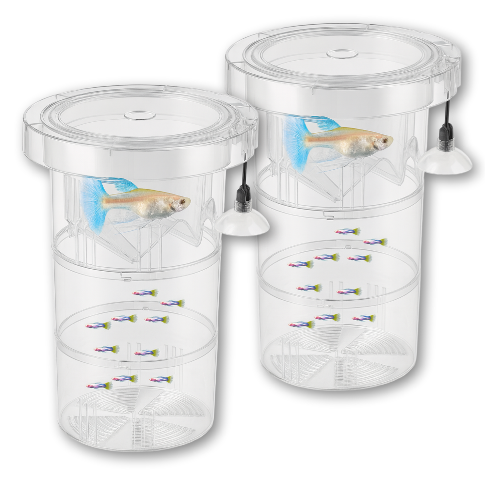 강플로 구피 물에뜨는 분리형 부화통, 2개 13,900원