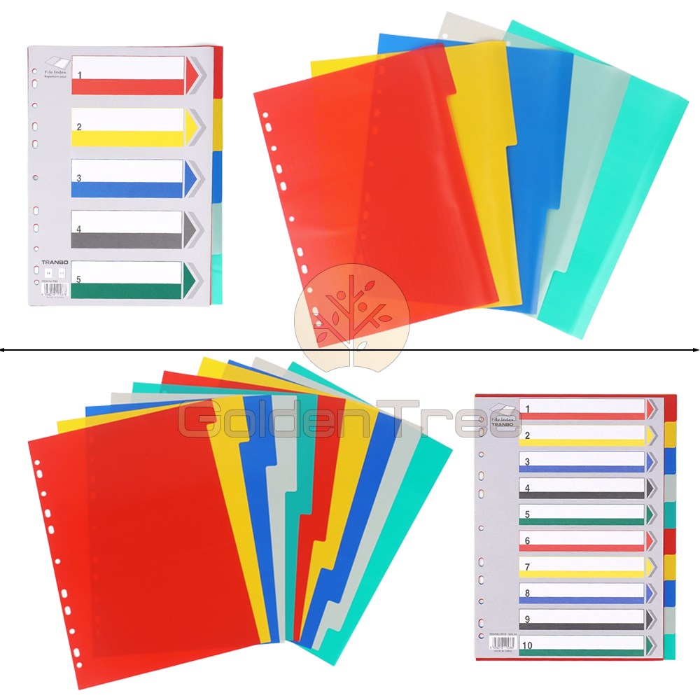 골든트리 칼라 A4 파일 바인더 분류 색지 인덱스 인덱스간지 분류색지 4,000원