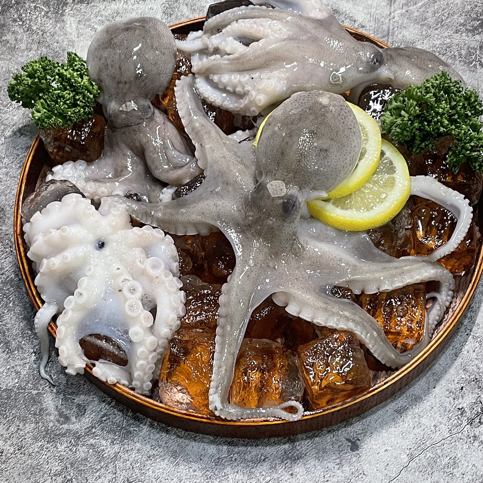 [산지직송] 제철 서해안 봄 활쭈꾸미 당일조업 34,900원