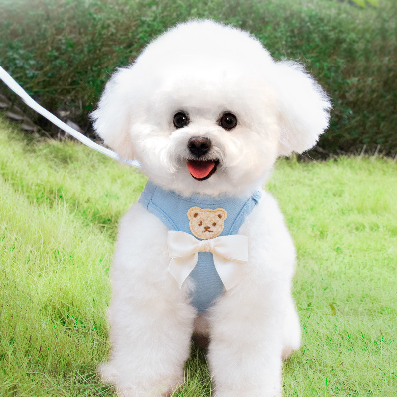 파스텔펫 반려동물 리본 곰돌이 하네스 리드줄 세트 10,800원