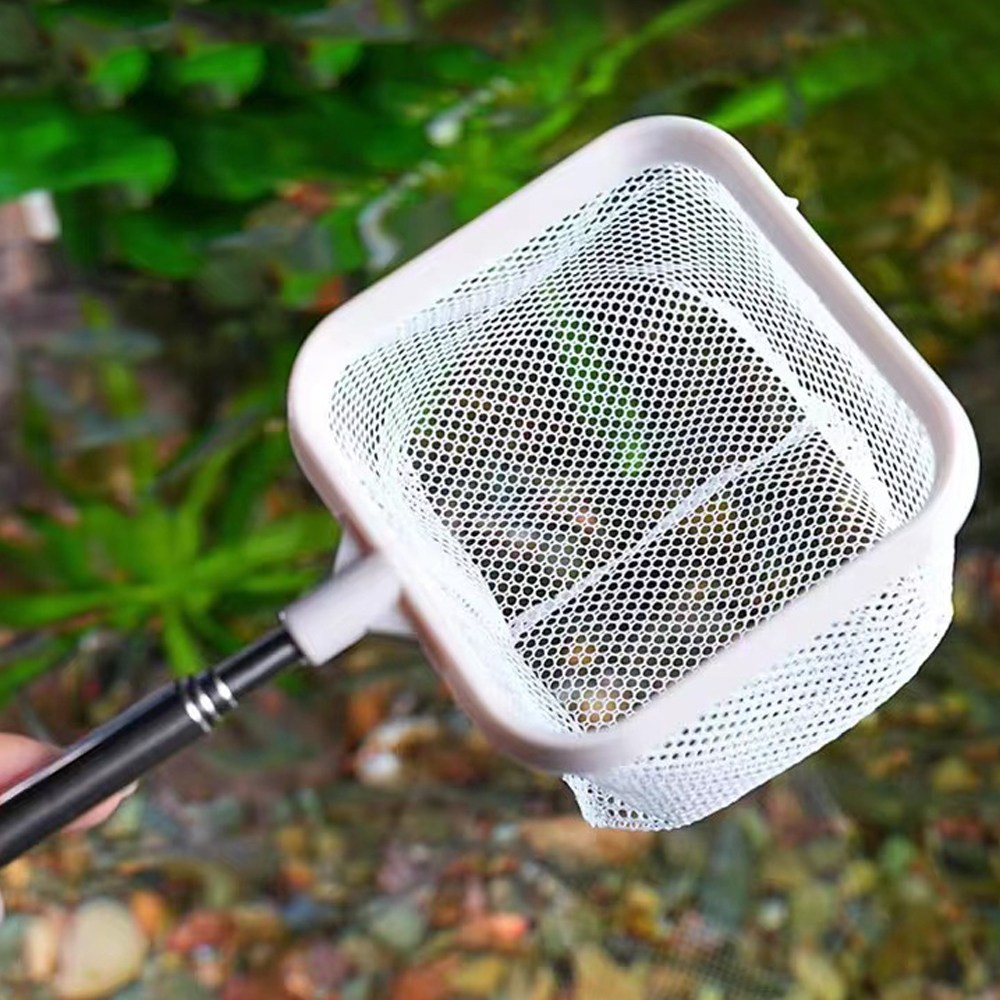 사각 새우뜰채 미니 어항뜰채 안테나손잡이 수족관 관리용품 5,500원