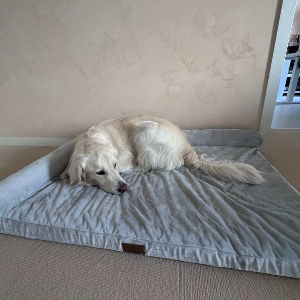 홀릭하임 대형견 관절보호 에그폼 L자형 꿀잠 사각방석 03 L~2XL 38,670원