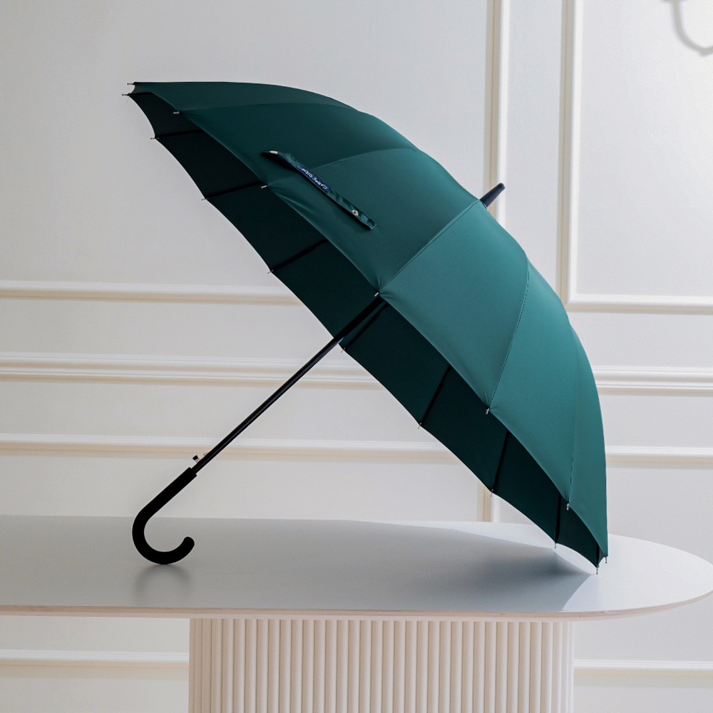 카르페디엠 프리미엄 대형 방풍 자동 장우산 17,500원