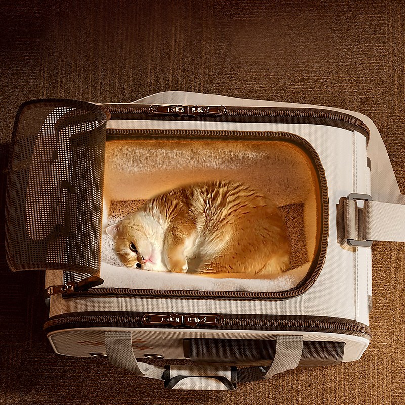 고양이가방 접이식 반려동물 백팩 캐리어 손님가방 34,220원