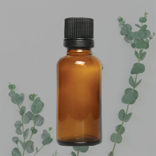 에센셜오일 - 유칼립투스 Eucalyptus, 유칼립투스 59,000원