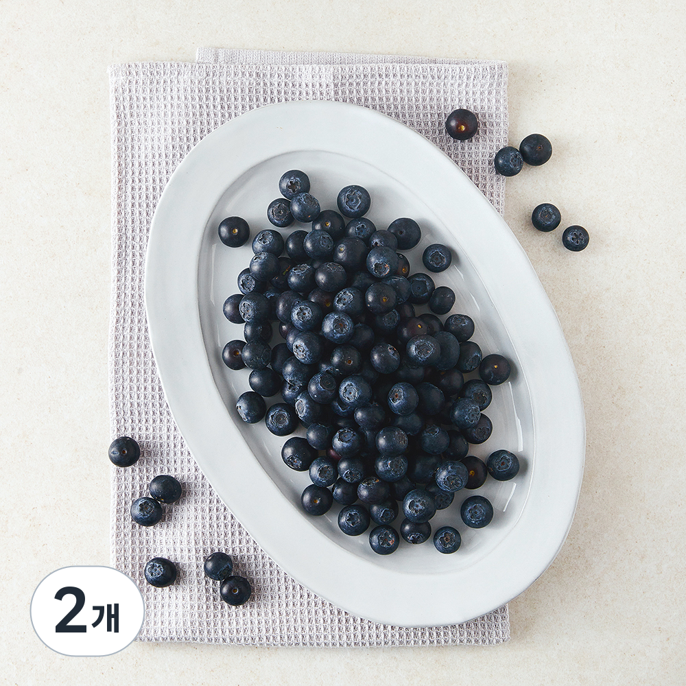 [로켓프레시] 다조은 칠레산 블루베리 14,370원