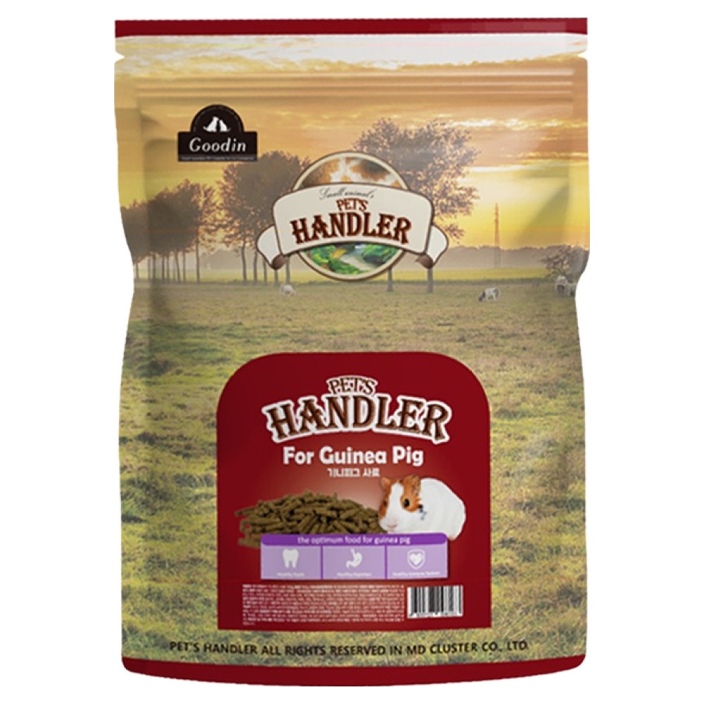 펫츠핸들러 기니피그 전용사료, 700g, 1개 4,000원