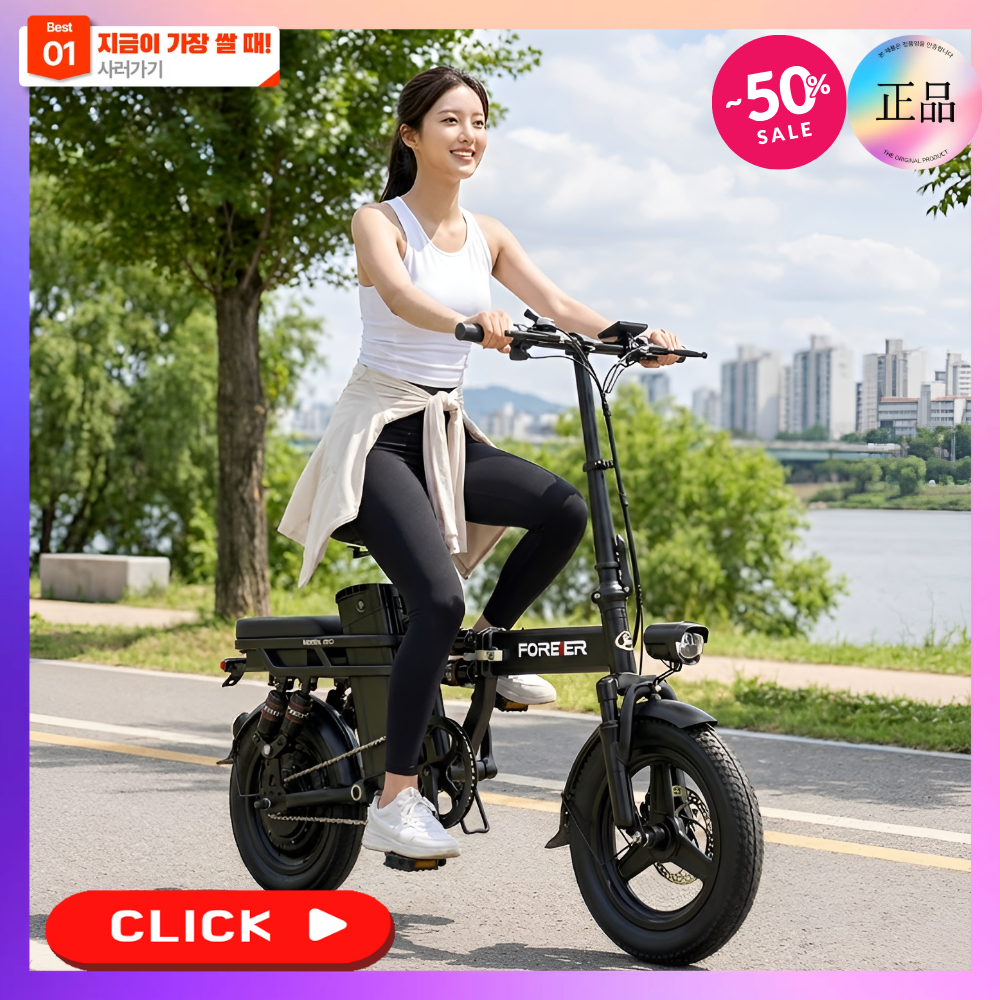 리트바 국산 리튬배터리 접이식 전기자전거 고출력 모터 전동 PAS 배달 대리운전 출퇴근, 기본형, 경량스틸 469,000원