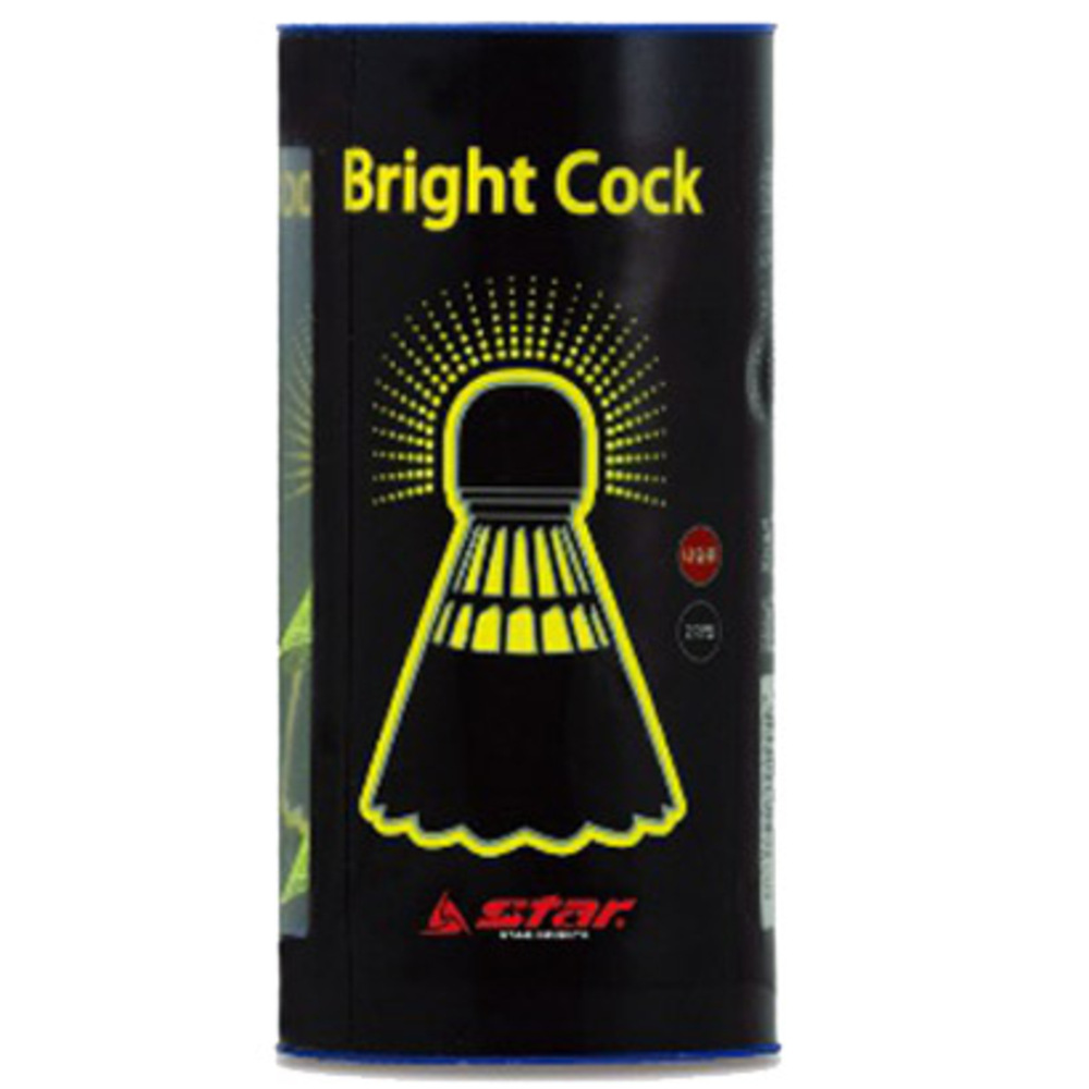 스타스포츠 셔틀콕 브라이트콕 DBJS00001 2p 7,000원