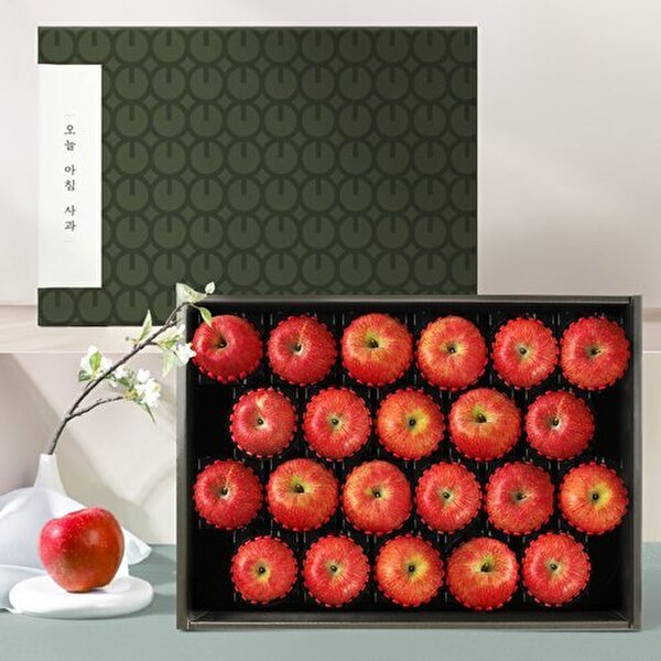 기타 T_[오늘아침사과] 사과 선물세트 5kg 22과 57,900원
