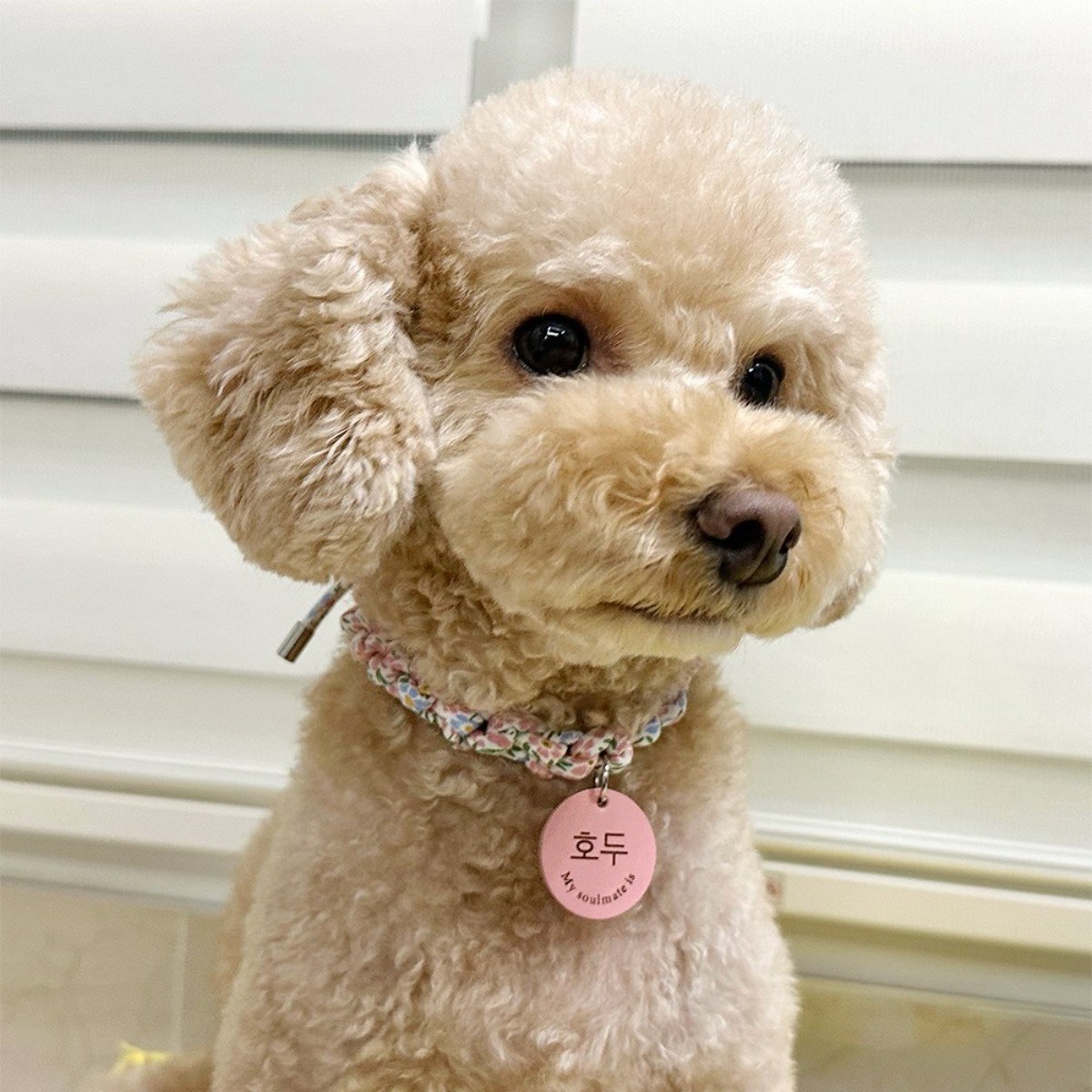 꽃페브릭빵줄 알루미늄팬던트 강아지 고양이 목걸이 인식표무료각인, 1개, 찐핑크 16,900원