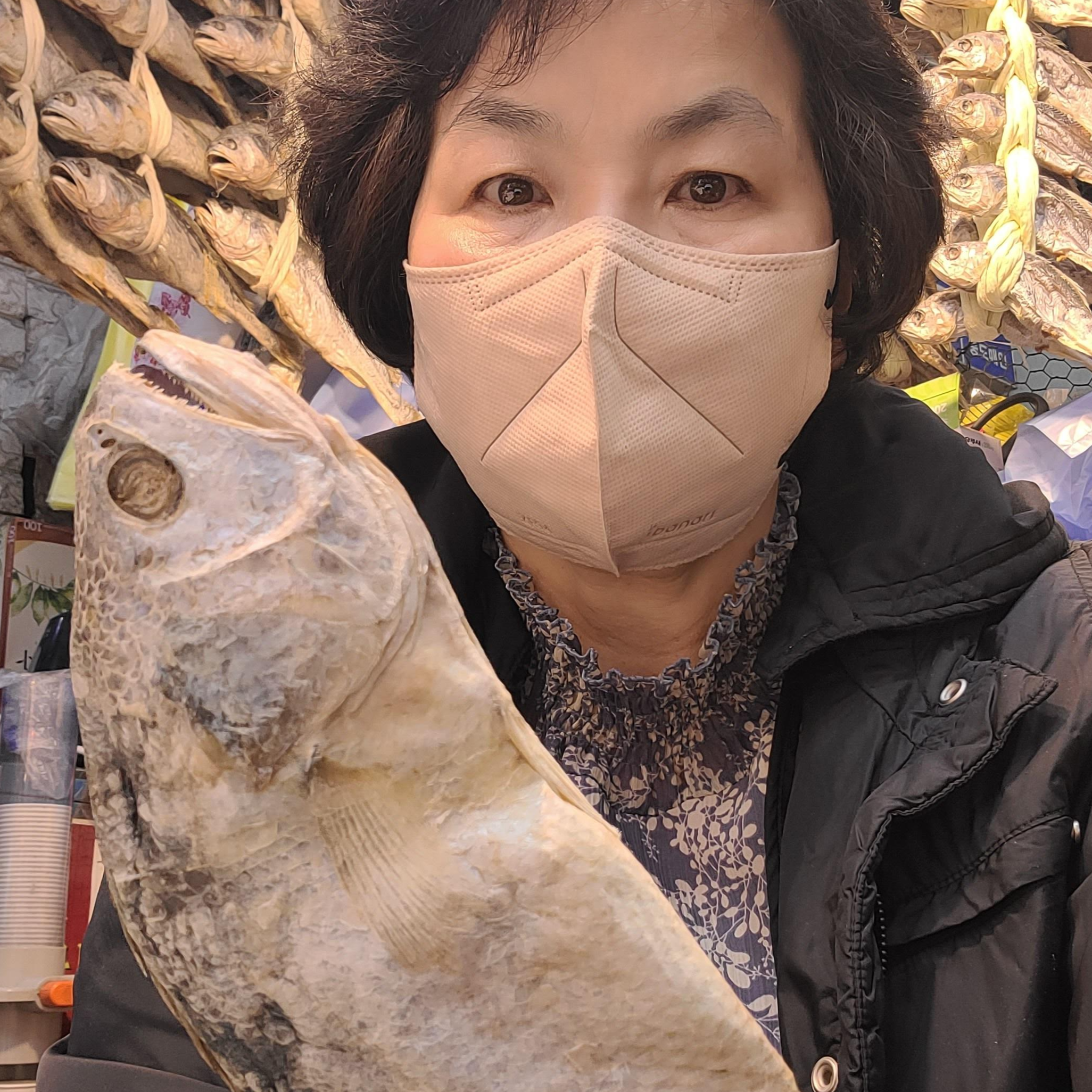 굴비다 수작업 손질 보리굴비 내장과 비늘을 완벽히 제거한 보리굴비를 20분 쪄서만 드세요. 영광 보리굴비 선물세트 인기상품 10마리 왕특대31cm내외 녹차증정 75,000원