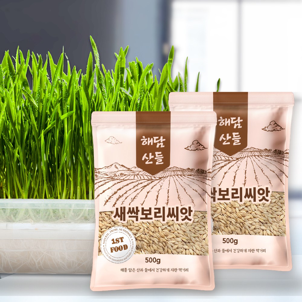 국산 새싹보리씨앗 1kg (500g x 2봉) 지퍼백 소포장 l 겉보리 보리새싹 키우기 6,900원