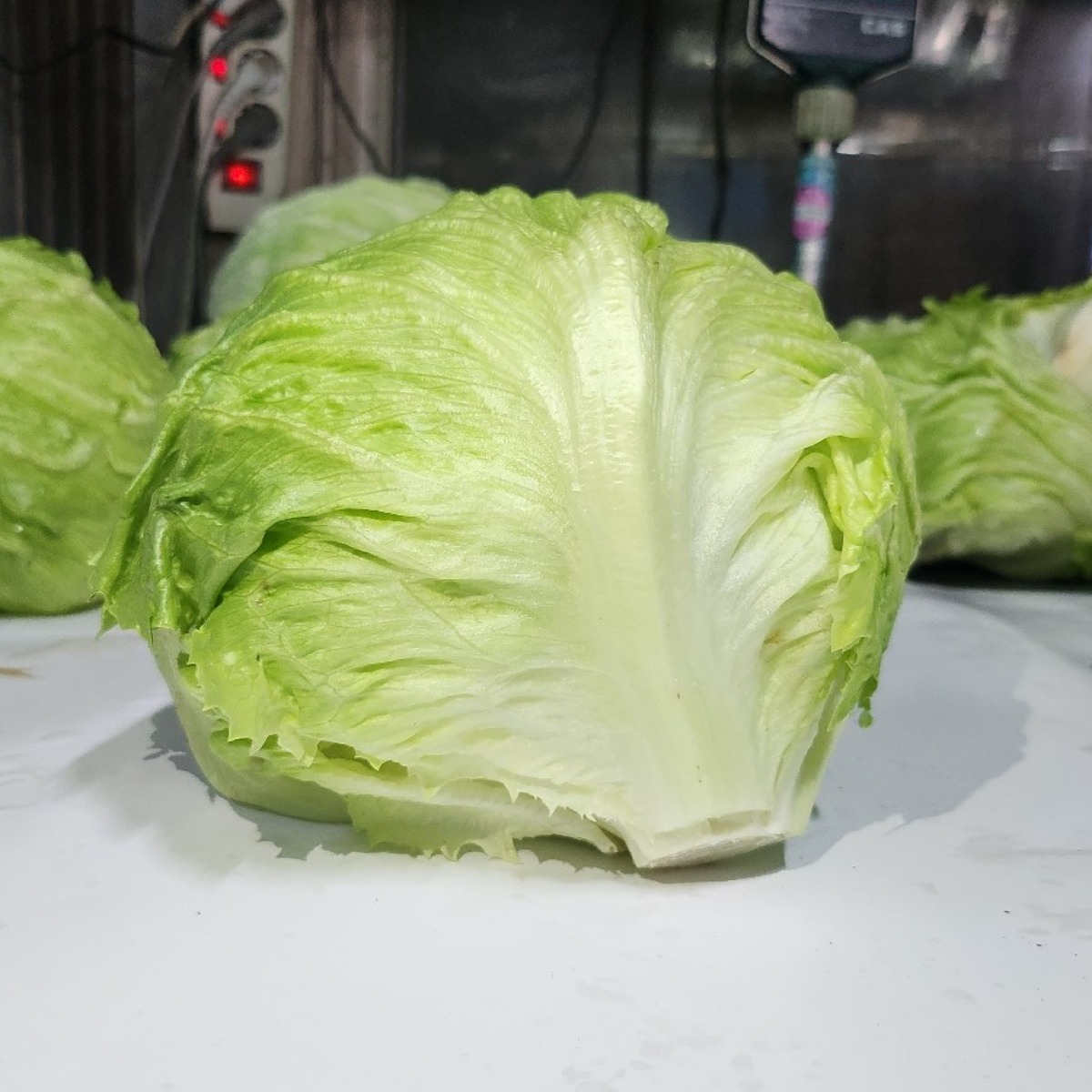 국산 양상추 포장 12통 최상품 1박스 가락시장 직송, 1박스, 6kg 26,900원