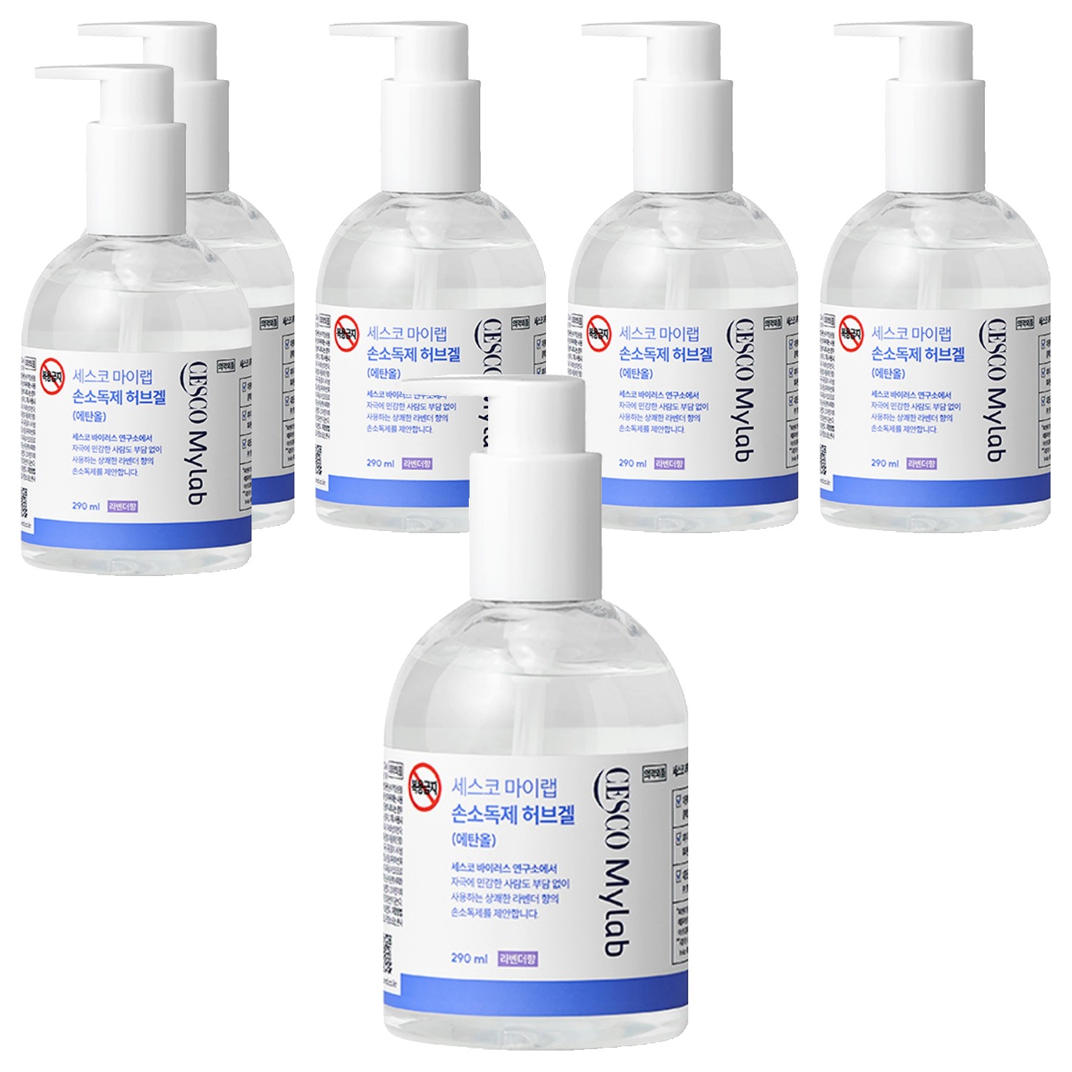 세스코 마이랩 손소독제 허브겔, 6개, 290ml 48,500원